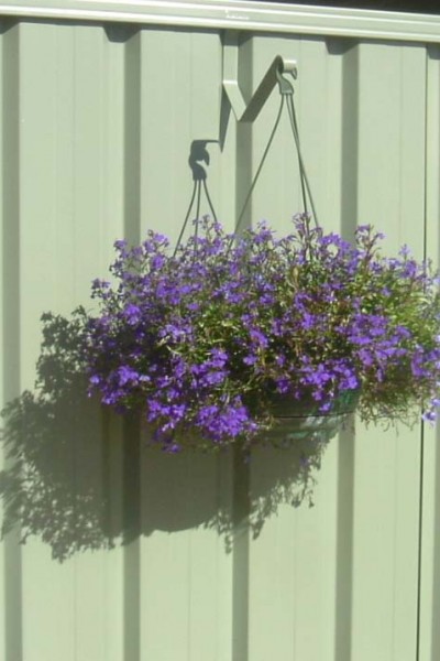 Colorbond  Fence Hanging Basket Hangup